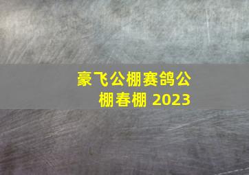 豪飞公棚赛鸽公棚春棚 2023